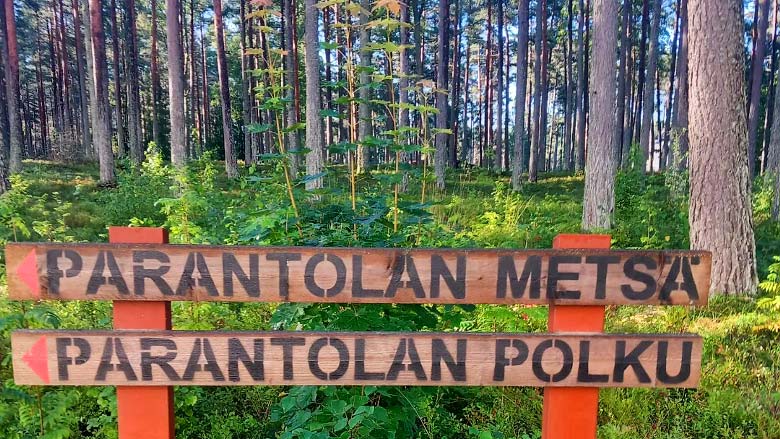 Parantolan metsä